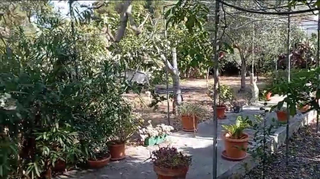 Casa Vacanze Il Carrubo Leporano Exterior foto